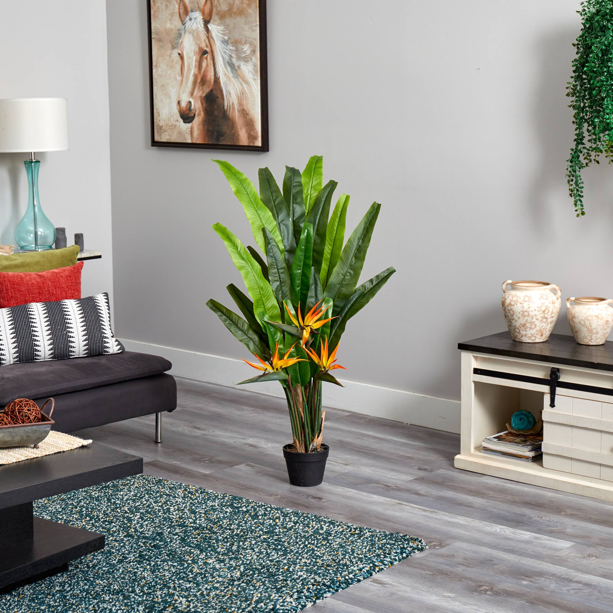 4.5ft. Potted Bird of Paradise Plant